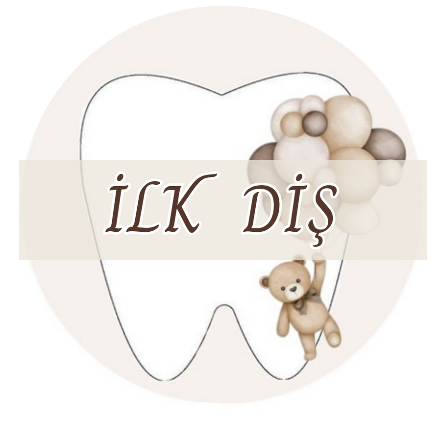 İlk Diş
