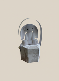 White Plush Bunny Newborn Mini Box — Safari Toile Favour Gift — Chocoodad Baku
